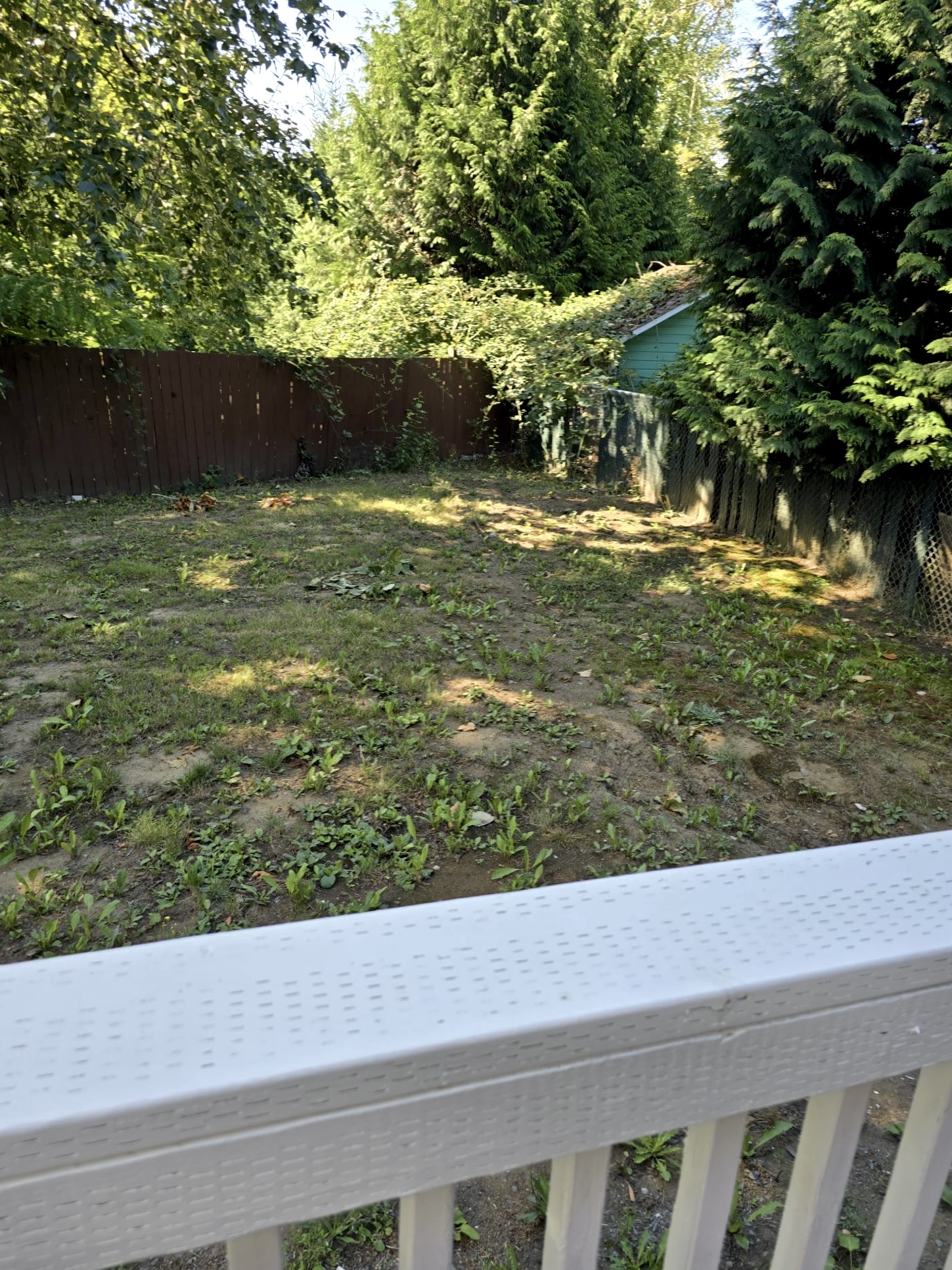 Fenced backyard with trees